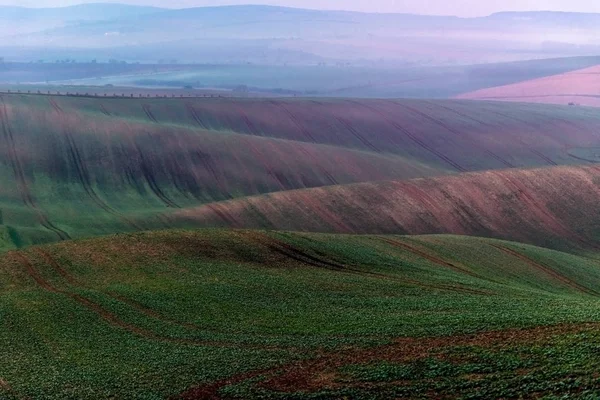 Vista superior dos campos de plantio nas encostas da terra da Morávia — Fotografia de Stock