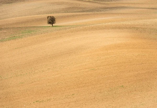 Vue aérienne du sol brun du champ — Photo