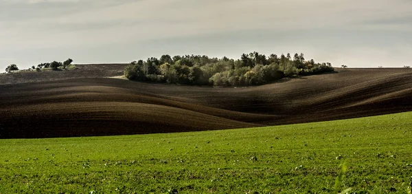 Bright landscape of green field and plowed dark ground — Stock Photo, Image