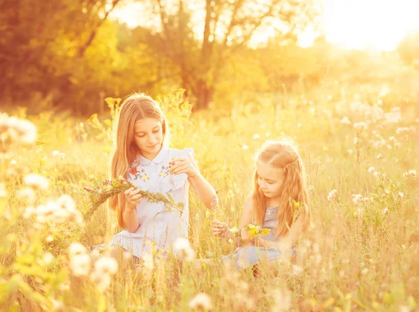 Dos hermanitas tejen coronas de flores — Foto de Stock