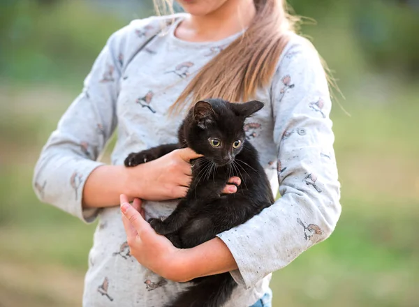 Blonďatá dívka drží koťátko — Stock fotografie