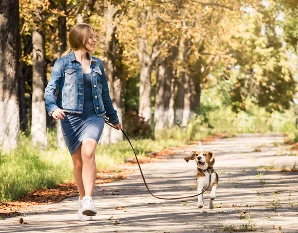 Sarışın kız ile sevimli köpek yürüyüş — Stok fotoğraf