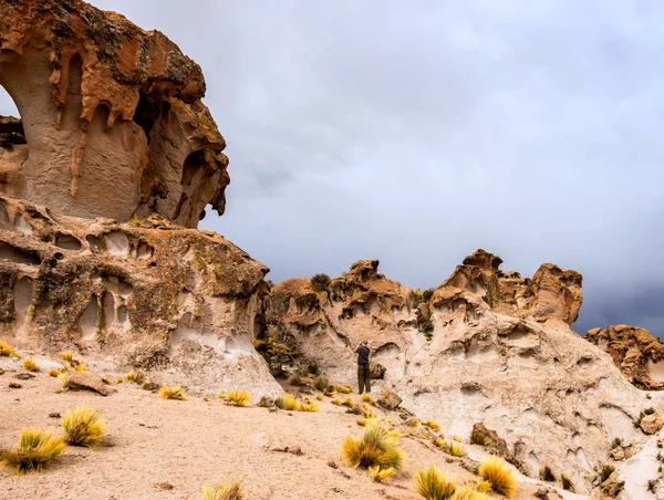 Spacious Bolivian landscape — Stock Photo, Image