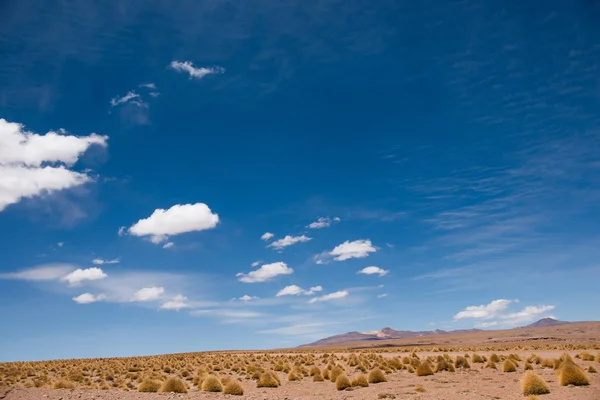Sunshine woestijn veld in Bolivia — Stockfoto