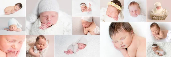 Reihe von neugeborenen Babys — Stockfoto