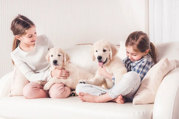 Gülümseyen kız kardeşler köpek yavrularıyla oturuyor — Stok fotoğraf