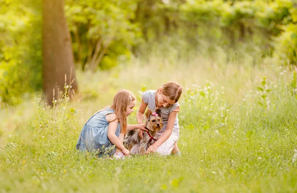 Two sisters playing with little Yorkshire terier sunny day — Stock Photo, Image