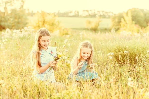 Two little sisters weave wreaths of flowers — Stock Photo, Image