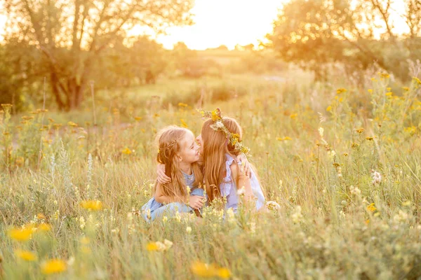 草原の 2 つのかわいい妹 — ストック写真