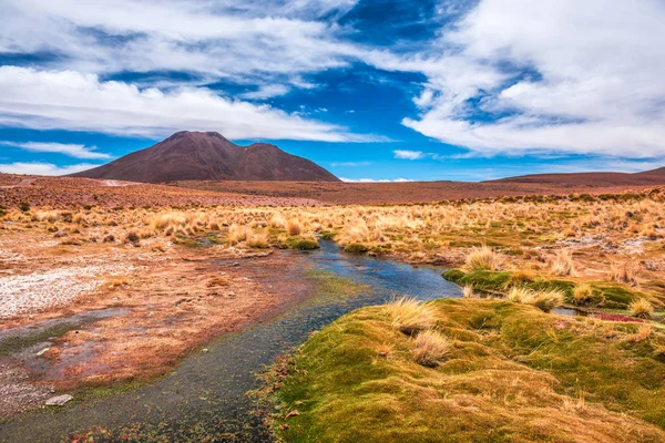 Paysage lagunaire en Bolivie — Photo