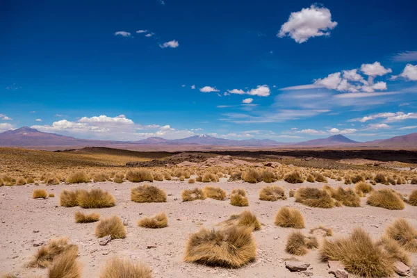 Soleil désert bolivien sur le fond de hautes montagnes rocheuses — Photo