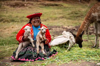 Peru köyü - 12 Ekim 2018: Ulusal giysiler lamas tutan kadın