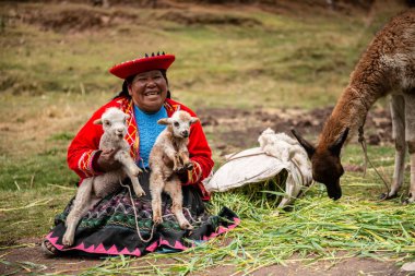 Peru village - 12 October 2018 : Woman in national clothes holding lamas clipart