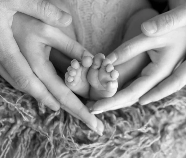 Close-up van ouders houden de voeten van de babys — Stockfoto
