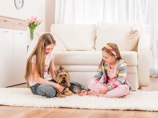 Twee meisjes spelen met yorkie — Stockfoto