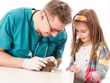 Kızı onun degu veterinere götürdüm.