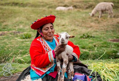 Peru köyü - 12 Ekim 2018: Ulusal giysiler lamas tutan kadın