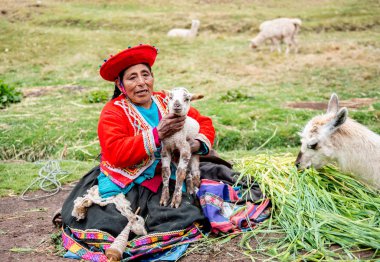 Peru köyü - 12 Ekim 2018: Ulusal giysiler lamas tutan kadın
