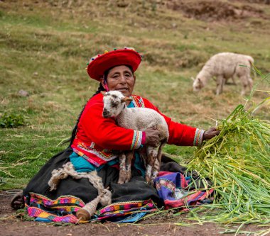 Peru köyü - 12 Ekim 2018: Ulusal giysiler lamas tutan kadın