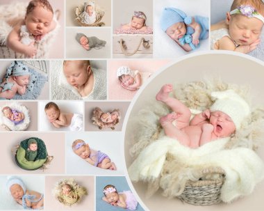 Yeni doğan çocukların fotoğraf kümesi poz