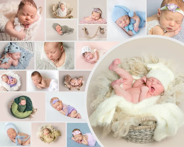 Nowo narodzone dzieci pozowanie na zestaw zdjęć — Zdjęcie stockowe