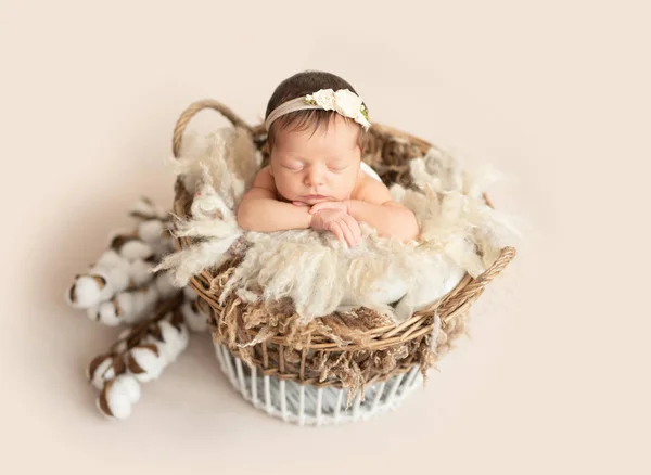 Spící novorozeně holčička — Stock fotografie