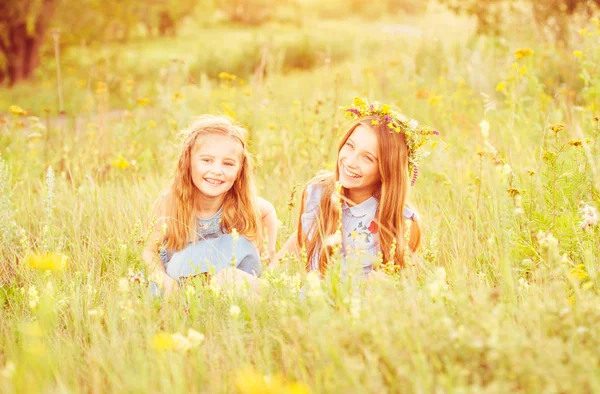 Twee schattige kleine zusters op een weide — Stockfoto