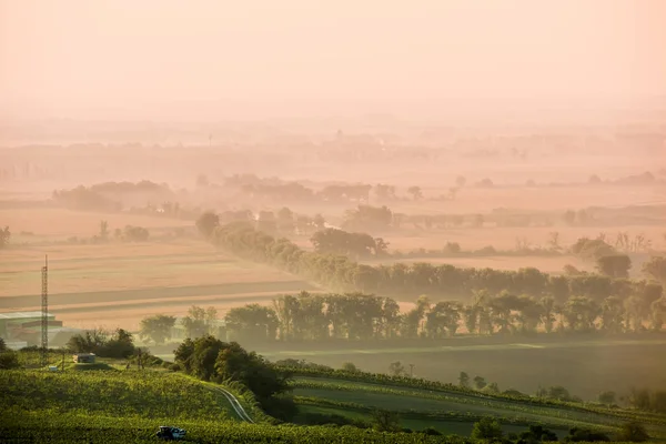 Foggy Road in Moravië — Stockfoto