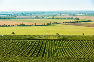 Tarlada çalışan çiftçiler, Moravya