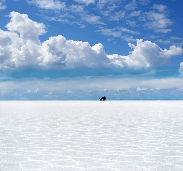 Paseo en coche todoterreno en Salt Lake — Foto de Stock