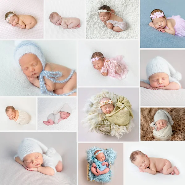 Yeni doğan çocuklar fotoğraf kümesi — Stok fotoğraf
