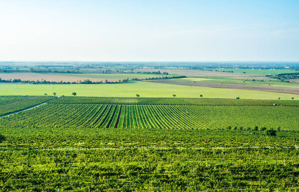 Farmers working on field, Moravia
