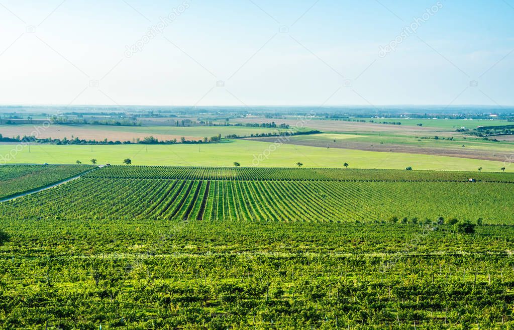 Farmers working on field, Moravia