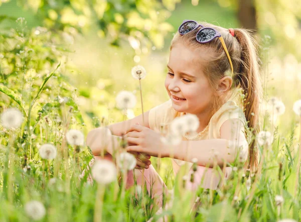 Mooi klein meisje verzamelen witte paardebloemen — Stockfoto