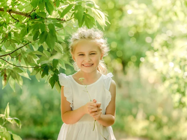 Liten flicka samla blommor i parken — Stockfoto