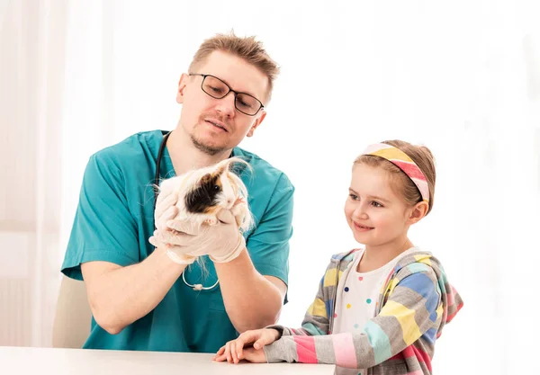 Cavia was broght aan dierenarts — Stockfoto