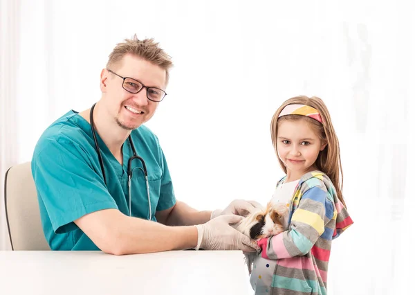 Vet doctor inspect girls guinea pig — Stock Photo, Image