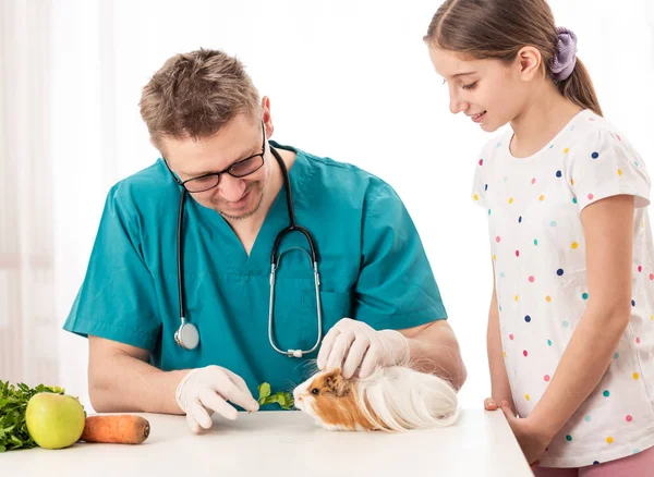 Veterinária mostrando dieta de cobaia para menina — Fotografia de Stock