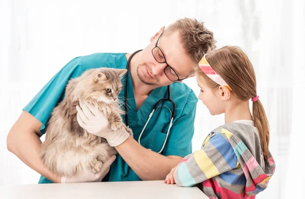 Médecin vétérinaire vérifiant chat pour les maladies — Photo