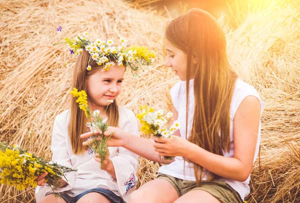 Sisters sitting on haystack — Stock Photo, Image