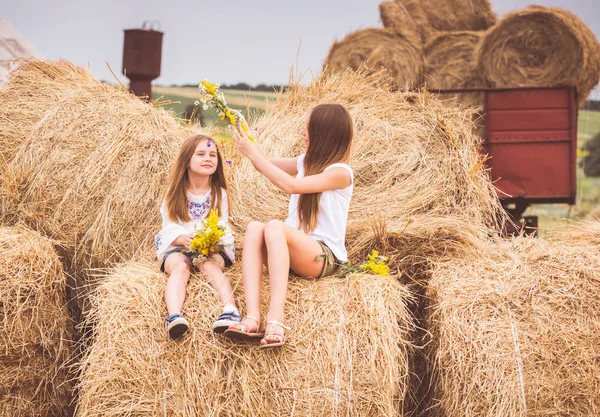 Systrar som sitter på höstacken — Stockfoto