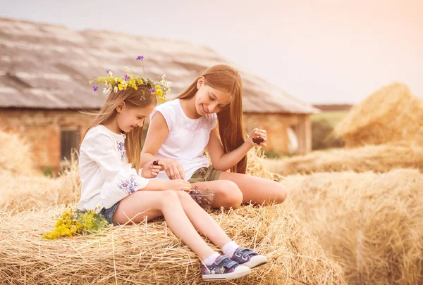 Cute sisters in the field with cherry and flowers — Stock Photo, Image