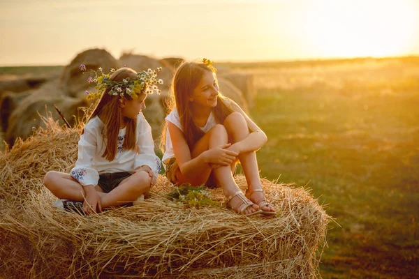 Hermanas encantadoras sonriendo, en pajar —  Fotos de Stock