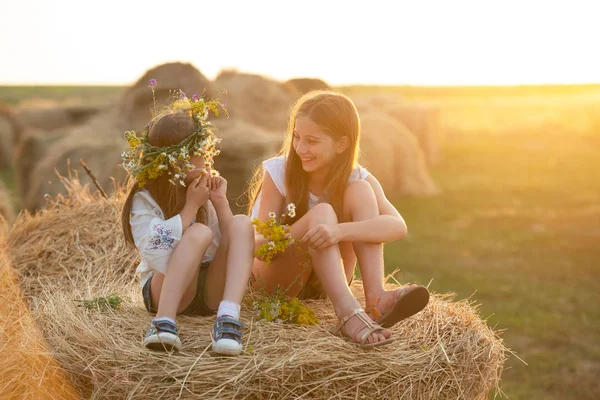 干し草の山の上で微笑む素敵な姉妹 — ストック写真
