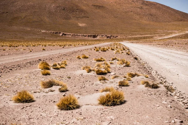 Désert montagneux bolivien — Photo