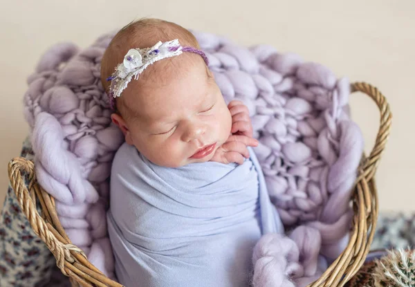 Niño recién nacido en la cesta — Foto de Stock