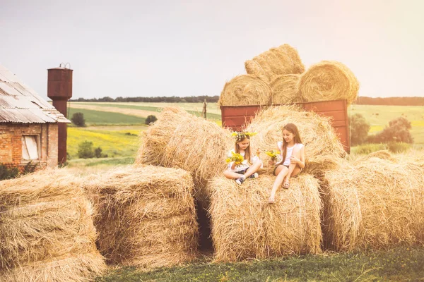 Dos chicas en un campo — Foto de Stock