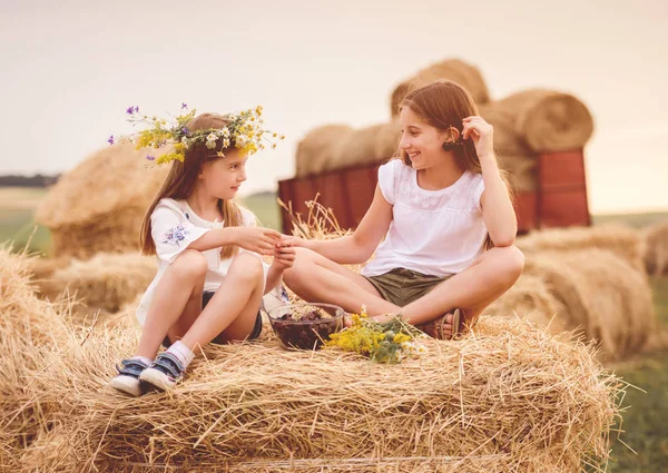 Hermanas lindas en el campo con cereza y flores —  Fotos de Stock