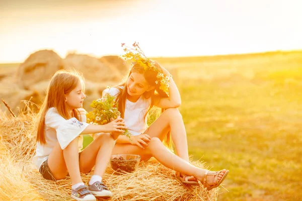 Two sisters spending time in field — Stock Photo, Image