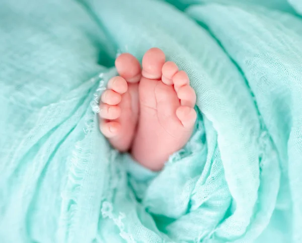 Newborn feet in blanket, closeup — Stock Photo, Image